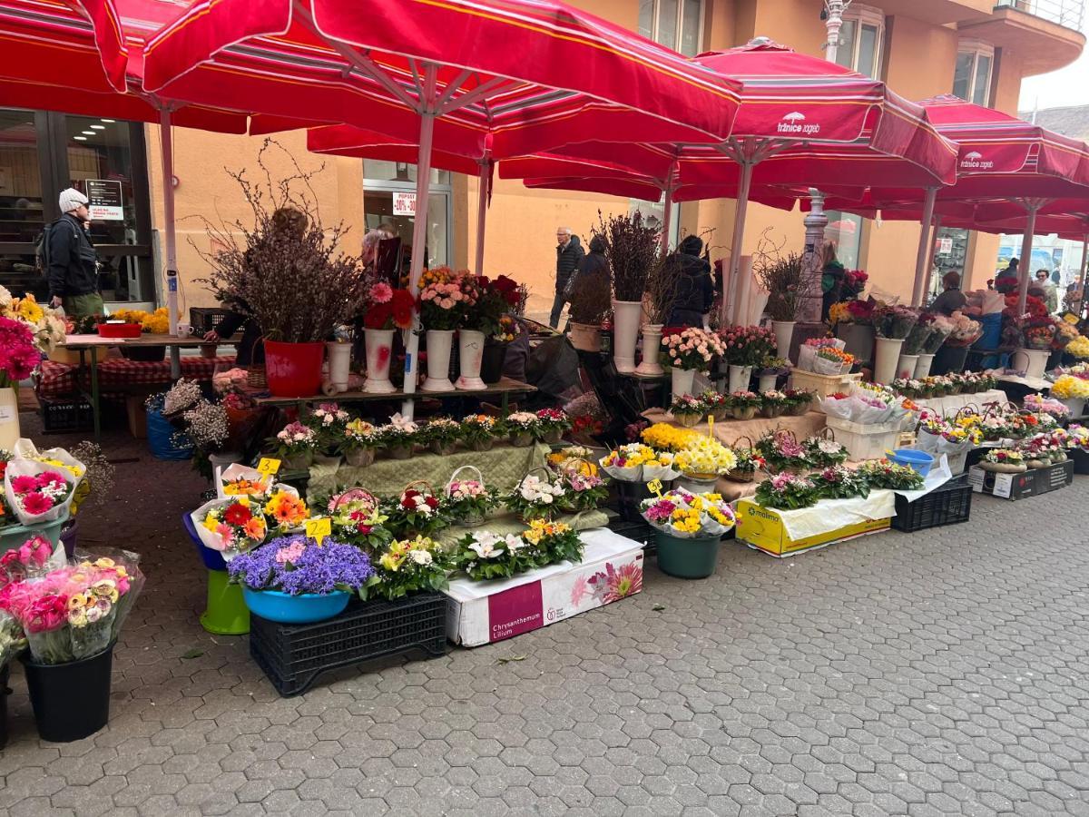 Luka Zagreb